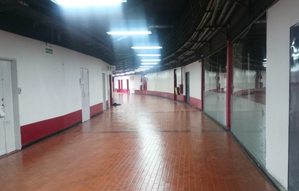 Anillo Pintura Colegio