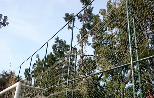 Cerco cancha auxiliar